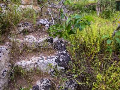 Attraverso un varco in un muretto a secco ci facciamo cos� strada tra gli alberi fino alla larga imboccatura della grotta. Una scaletta in pietra permette di scendere per cinque metri lungo la parete rocciosa...